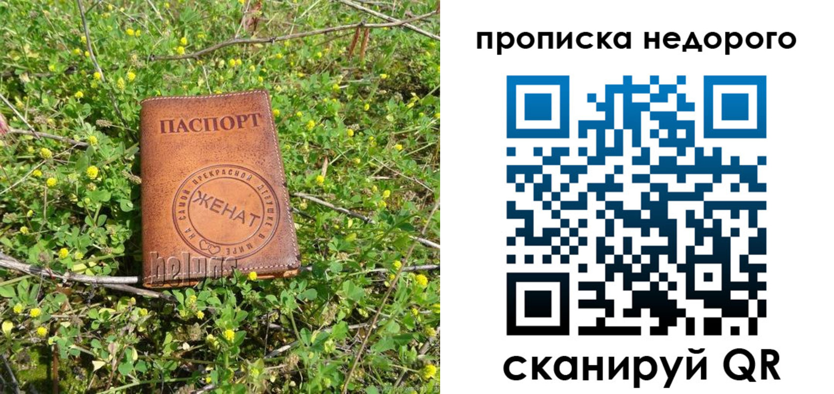регистрация для дет. сада в Почепе